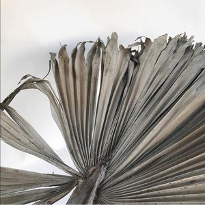 Meet your Posher, Yana